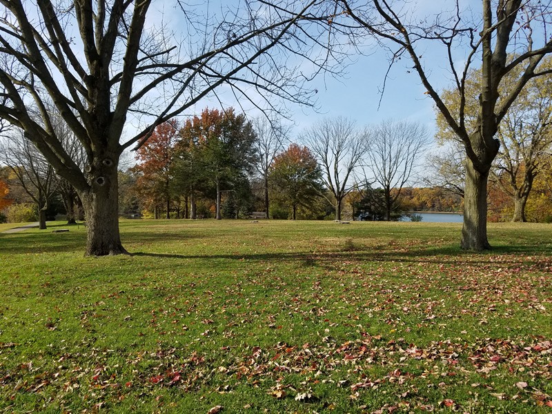 park green space